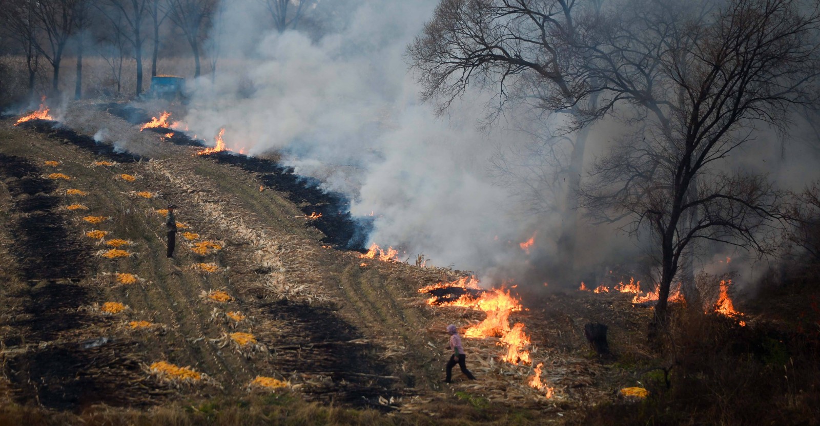 大面積秸稈焚燒 大面積秸稈焚燒