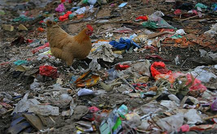 垃圾隨處亂放，環境臟亂差