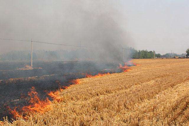 秸稈焚燒造成濃煙漫天 秸稈焚燒造成濃煙漫天