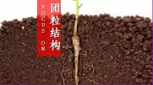 土壤團(tuán)粒結(jié)構(gòu) 土壤團(tuán)粒結(jié)構(gòu)