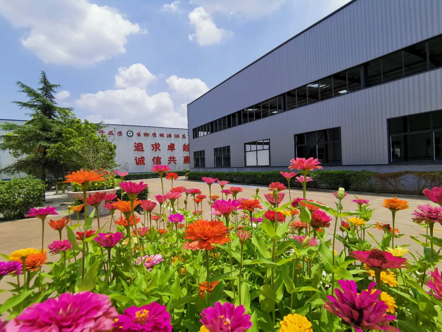 生物質(zhì)顆粒機(jī)生產(chǎn)廠家 生物質(zhì)顆粒機(jī)生產(chǎn)廠家