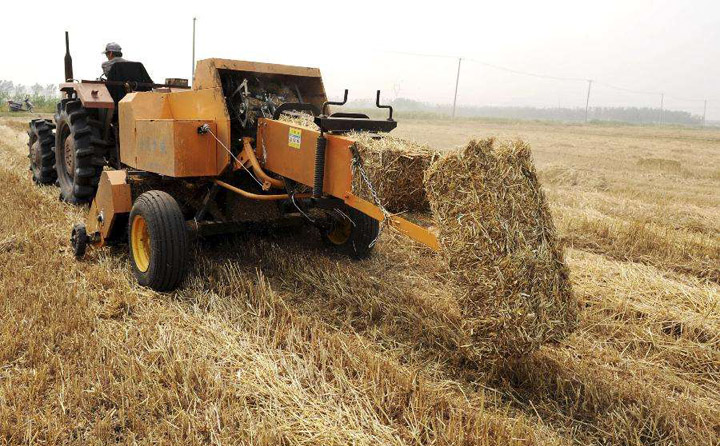 生物質資源進行有效開發利用 生物質資源進行有效開發利用