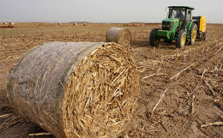 生物質能源回收再利用 生物質能源回收再利用