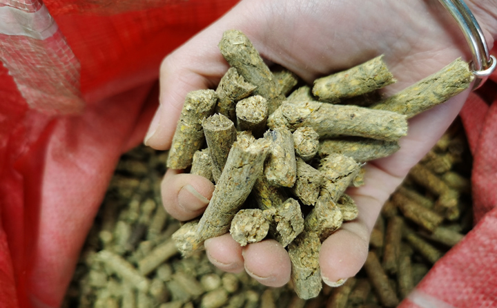 環保能源---生物質顆粒.jpg 環保能源---生物質顆粒.jpg