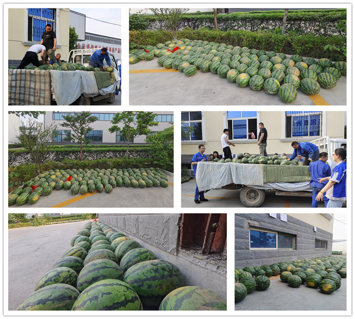 山東金格瑞開展“送清涼”活動.jpg 山東金格瑞開展“送清涼”活動.jpg